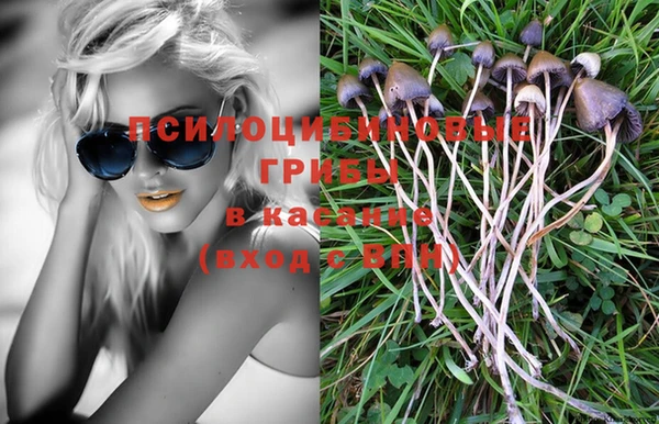 каннабис Новокубанск