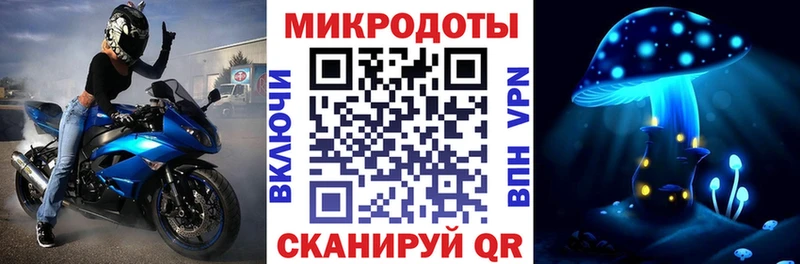 как найти   Приволжск  Псилоцибиновые грибы Cubensis 